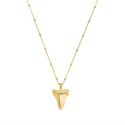 Collier de dents de requin