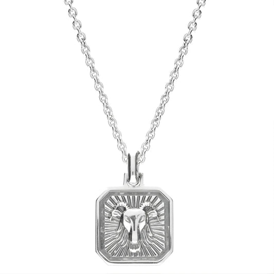 Pendentif Zodiaque Capricorne Argenté